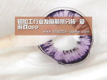 铜加工行业发展前景分析-爱游戏app(图4) 爱游戏app