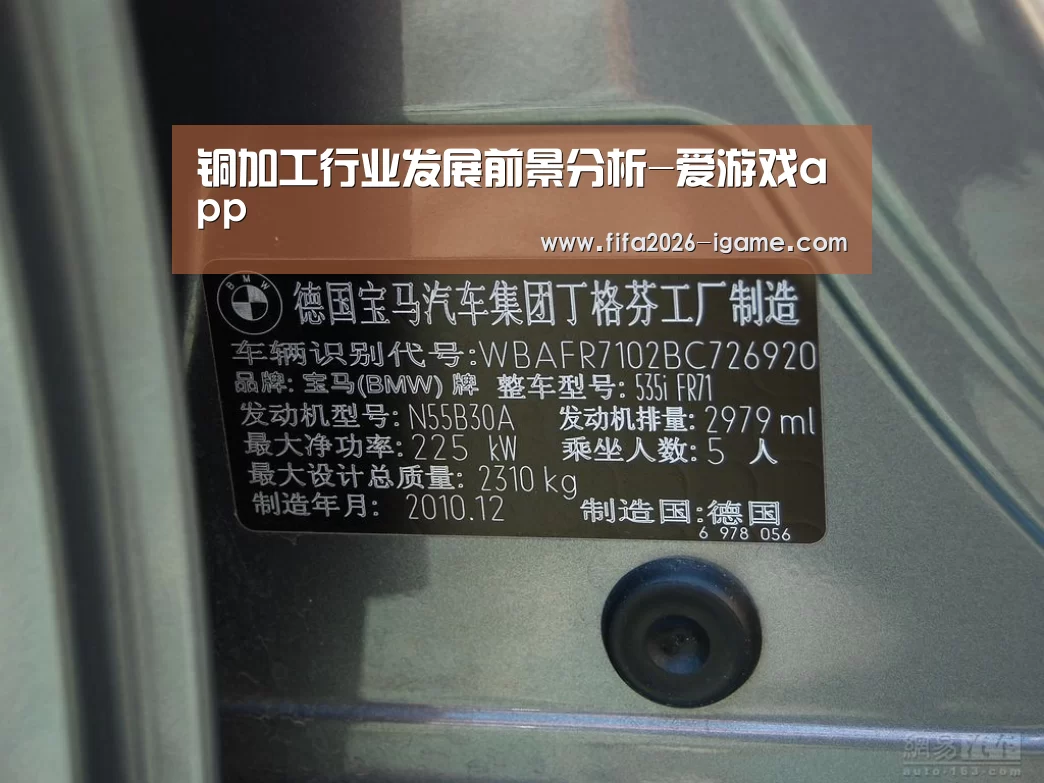 铜加工行业发展前景分析-爱游戏app(图3) APP入口