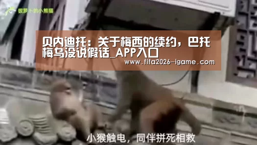 贝内迪托:关于梅西的续约,巴托梅乌没说假话_APP入口(图4) 爱游戏体育官网
