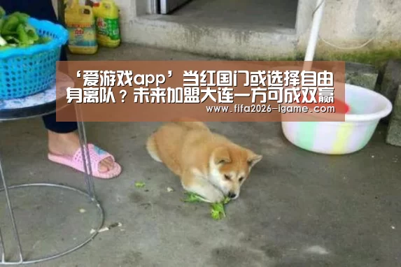 APP入口