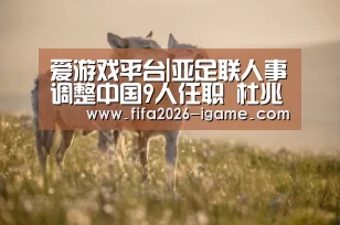 爱游戏平台|亚足联人事调整中国9人任职 杜兆才出任裁委会主席(图3) 爱游戏体育官网