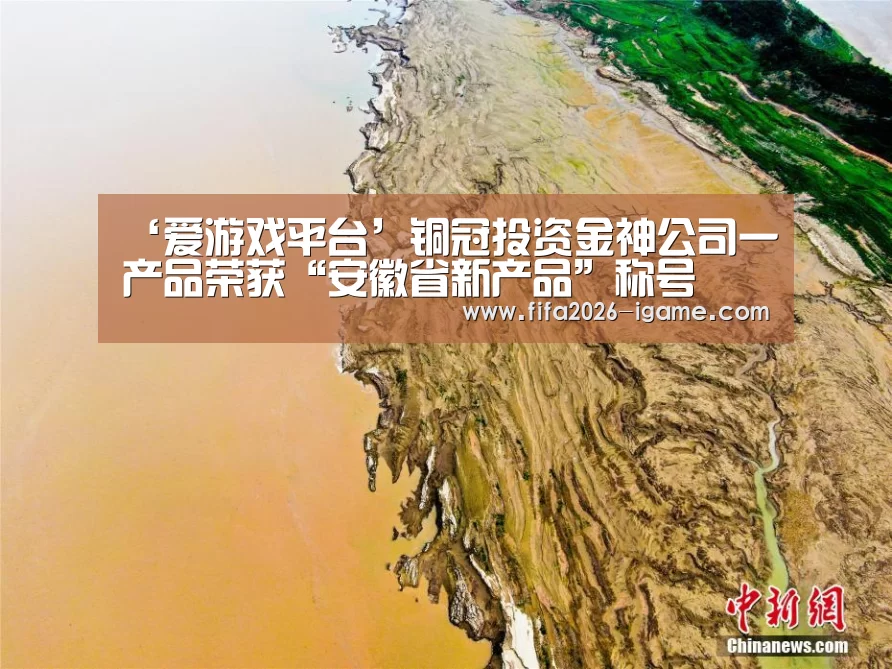 ‘爱游戏平台’铜冠投资金神公司一产品荣获“安徽省新产品”称号(图2) 爱游戏体育官网