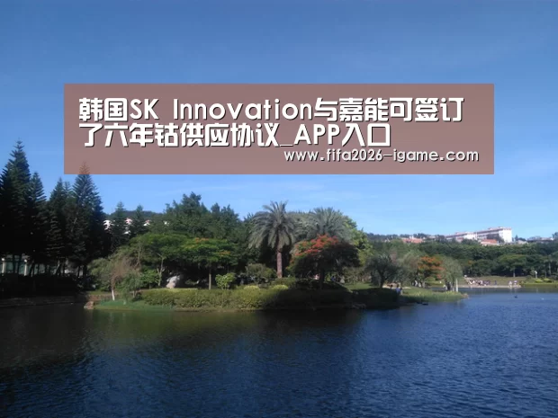 APP入口