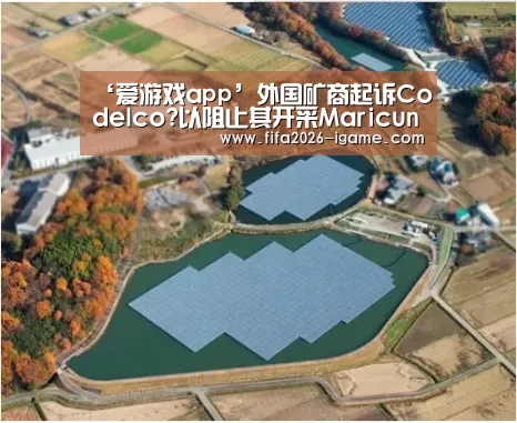 ‘爱游戏app’外国矿商起诉Codelco?以阻止其开采Maricunga锂矿(图1) 爱游戏app