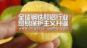 全球钢铁和铝行业贸易保护主义升温‘APP入口’(图1) 爱游戏体育官网