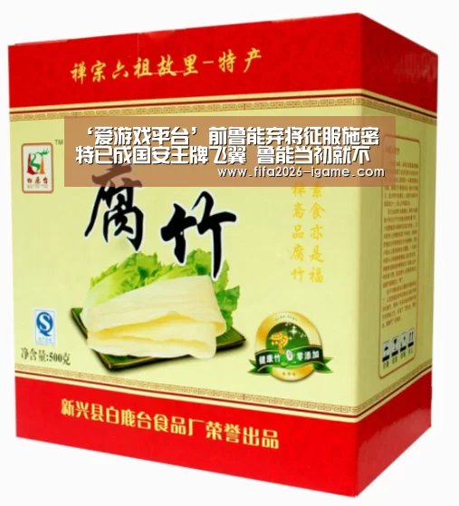 ‘爱游戏平台’前鲁能弃将征服施密特已成国安王牌飞翼 鲁能当初就不该放他走(图4) 爱游戏平台
