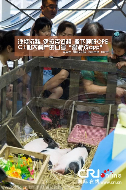 爱游戏平台