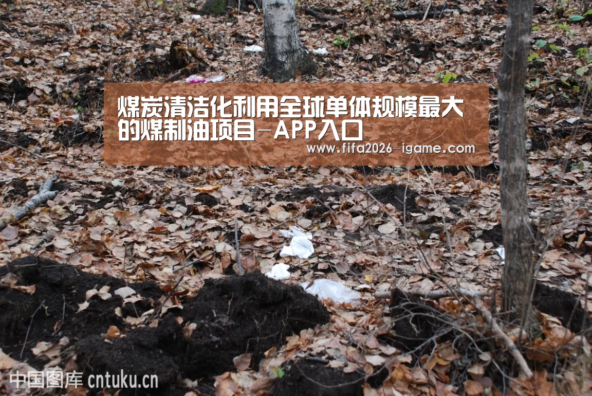 煤炭清洁化利用全球单体规模最大的煤制油项目-APP入口(图1) APP入口