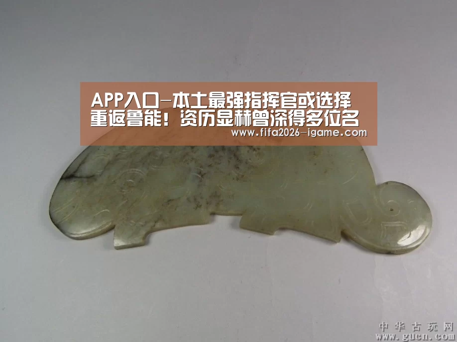 APP入口-本土最强指挥官或选择重返鲁能!资历显赫曾深得多位名帅器重(图1) APP入口