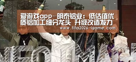 爱游戏app-明泰铝业:低估值优质铝加工细分龙头 升级改造发力高端用铝市场(图1) 爱游戏app