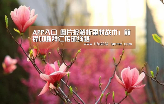 APP入口_图片报解析霍村战术:前锋切断拜仁传球线路(图2) 爱游戏体育官网