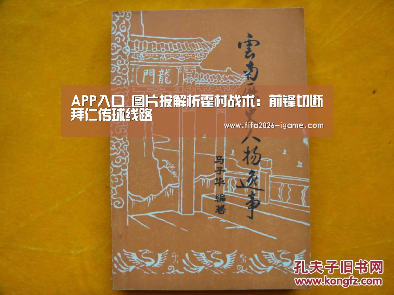 APP入口_图片报解析霍村战术:前锋切断拜仁传球线路(图4) 爱游戏体育官网