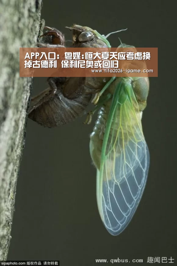 APP入口:粤媒:恒大夏天应考虑换掉古德利 保利尼奥或回归(图1) 爱游戏平台