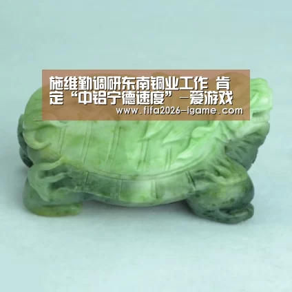 施维勤调研东南铜业工作 肯定“中铝宁德速度”-爱游戏app(图3) APP入口